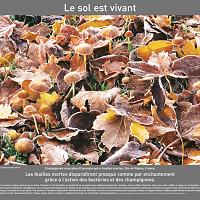 P2007 16LeSolEstVivant 